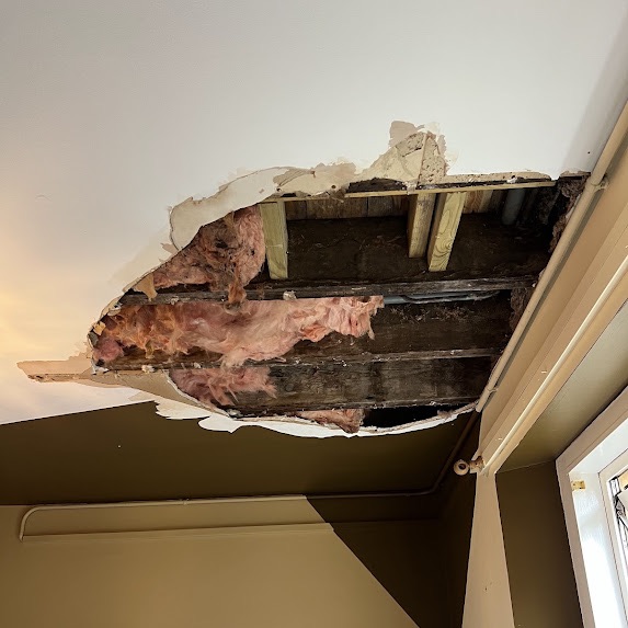 A ceiling with the water-damaged plasterboard cut away, exposing the joists and old loft insulation, water staining around the edge