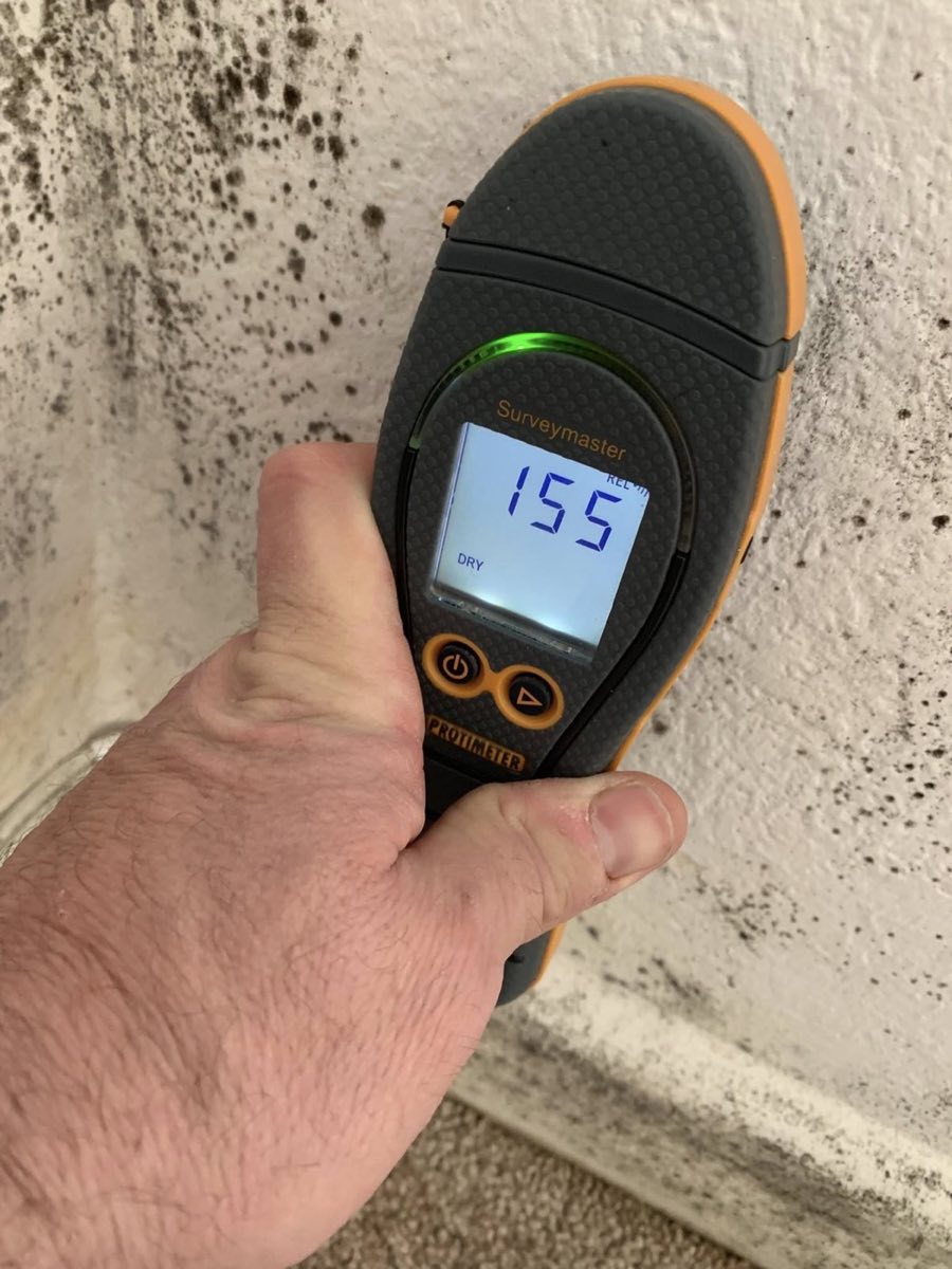 A hand holding a Protimeter Surveymaster moisture meter against a wall